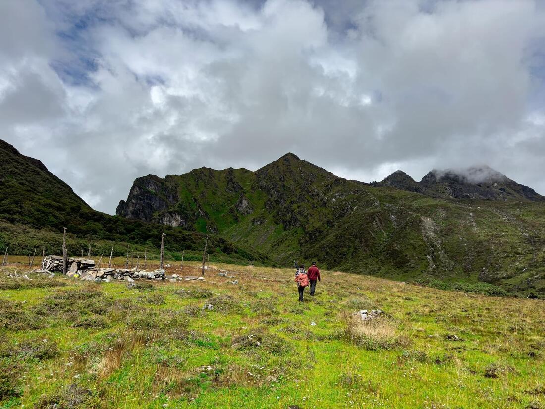 Walking out across the high meadow